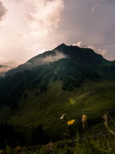 Preview wallpaper valley, peak, green, forest