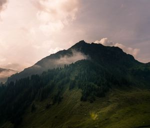 Preview wallpaper valley, peak, green, forest