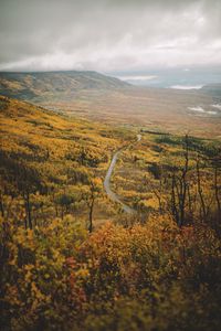 Preview wallpaper valley, road, aerial  view, forest, mountains