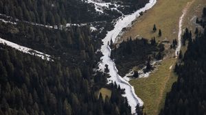 Preview wallpaper valley, slope, forest, aerial view