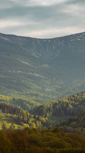 Preview wallpaper valley, slope, trees, mountains