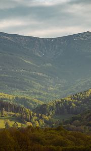 Preview wallpaper valley, slope, trees, mountains