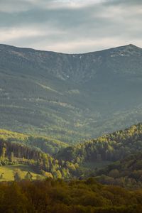 Preview wallpaper valley, slope, trees, mountains