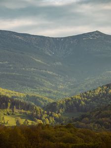 Preview wallpaper valley, slope, trees, mountains