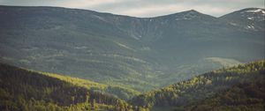 Preview wallpaper valley, slope, trees, mountains