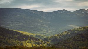 Preview wallpaper valley, slope, trees, mountains