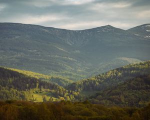 Preview wallpaper valley, slope, trees, mountains