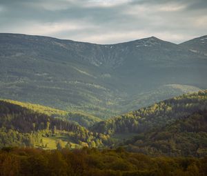 Preview wallpaper valley, slope, trees, mountains