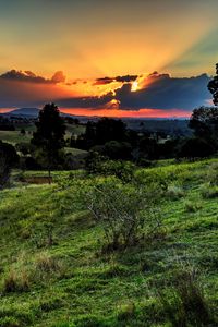 Preview wallpaper valley, sunset, grass, sky