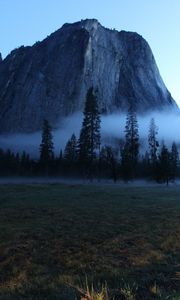 Preview wallpaper valley, trees, fog, mountain