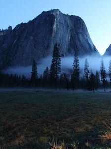 Preview wallpaper valley, trees, fog, mountain