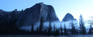 Preview wallpaper valley, trees, fog, mountain