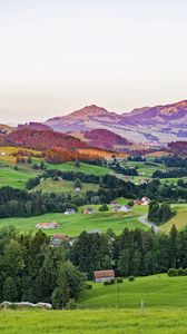 Preview wallpaper valley, trees, grass, houses, mountains