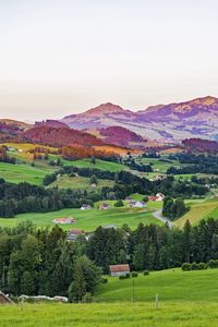 Preview wallpaper valley, trees, grass, houses, mountains