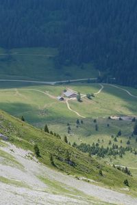 Preview wallpaper valley, trees, grass, mountains, slopes, landscape