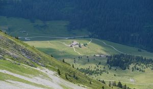 Preview wallpaper valley, trees, grass, mountains, slopes, landscape