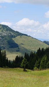 Preview wallpaper valley, trees, hill, slope, nature