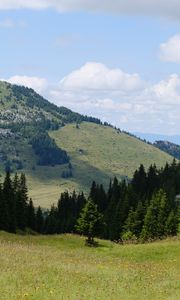 Preview wallpaper valley, trees, hill, slope, nature