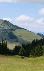 Preview wallpaper valley, trees, hill, slope, nature