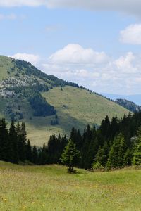 Preview wallpaper valley, trees, hill, slope, nature