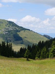 Preview wallpaper valley, trees, hill, slope, nature