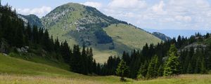 Preview wallpaper valley, trees, hill, slope, nature