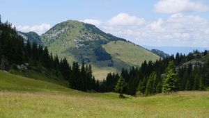 Preview wallpaper valley, trees, hill, slope, nature