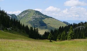 Preview wallpaper valley, trees, hill, slope, nature