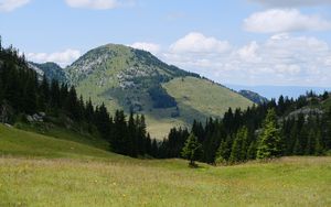 Preview wallpaper valley, trees, hill, slope, nature