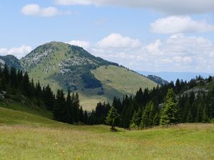 Preview wallpaper valley, trees, hill, slope, nature