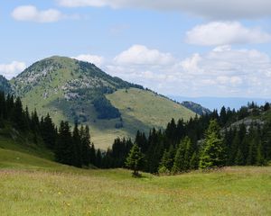 Preview wallpaper valley, trees, hill, slope, nature