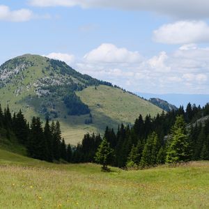 Preview wallpaper valley, trees, hill, slope, nature