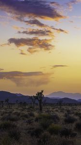 Preview wallpaper valley, trees, mountains, sunset