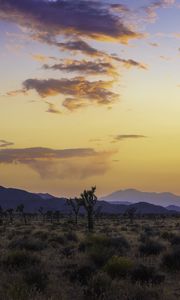 Preview wallpaper valley, trees, mountains, sunset