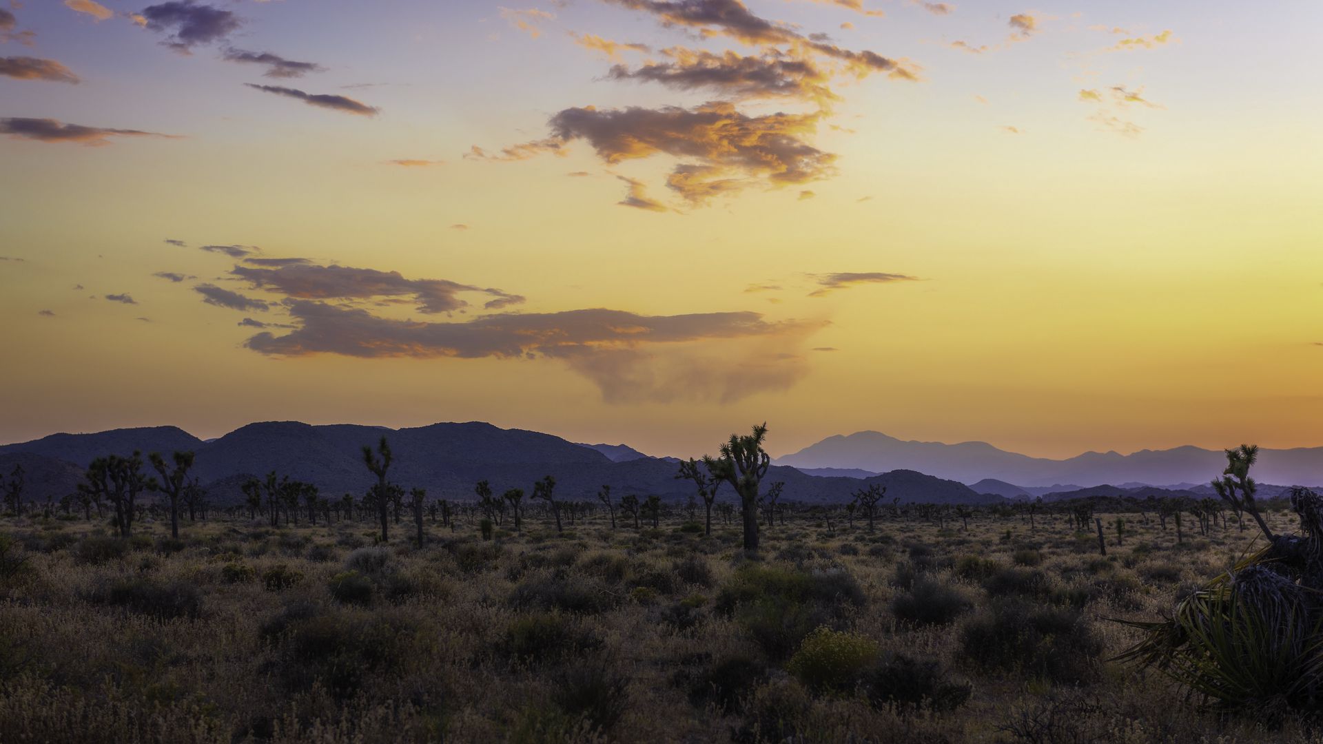 Download wallpaper 1920x1080 valley, trees, mountains, sunset full hd ...