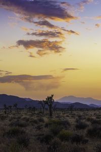 Preview wallpaper valley, trees, mountains, sunset