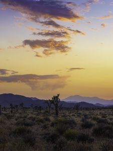 Preview wallpaper valley, trees, mountains, sunset