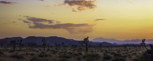 Preview wallpaper valley, trees, mountains, sunset