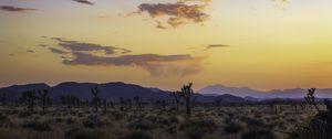 Preview wallpaper valley, trees, mountains, sunset