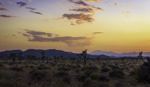 Preview wallpaper valley, trees, mountains, sunset