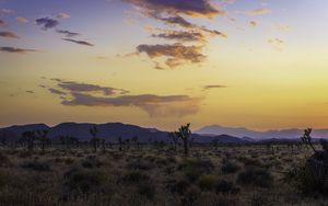 Preview wallpaper valley, trees, mountains, sunset