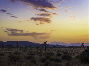 Preview wallpaper valley, trees, mountains, sunset