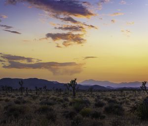 Preview wallpaper valley, trees, mountains, sunset