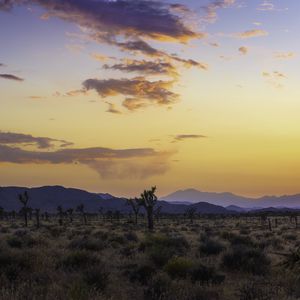 Preview wallpaper valley, trees, mountains, sunset