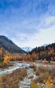 Preview wallpaper valley, trees, mountains, river