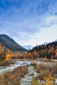 Preview wallpaper valley, trees, mountains, river