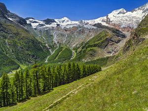 Preview wallpaper valley, trees, mountains, slope, landscape