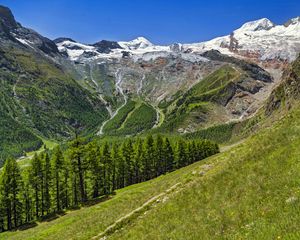 Preview wallpaper valley, trees, mountains, slope, landscape