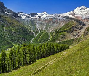 Preview wallpaper valley, trees, mountains, slope, landscape