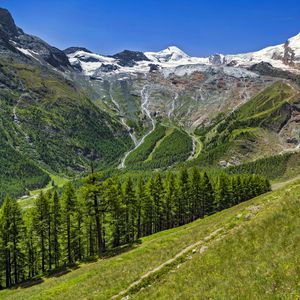 Preview wallpaper valley, trees, mountains, slope, landscape